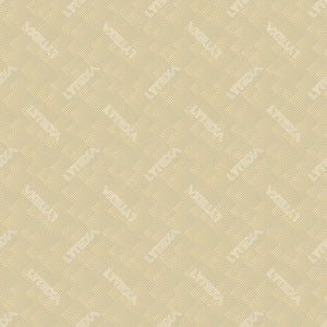 Colorway 04