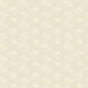 Colorway 03
