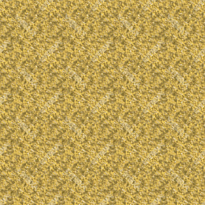 Colorway 01