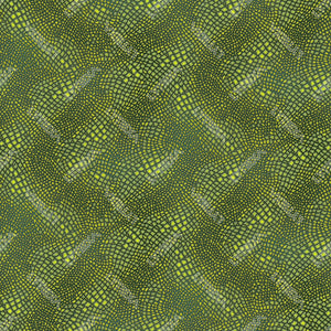 Colorway 01